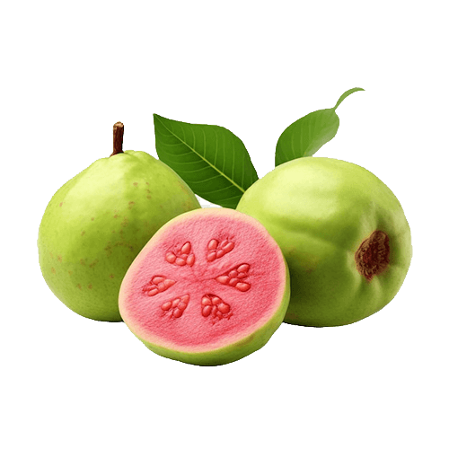 Guava Extract